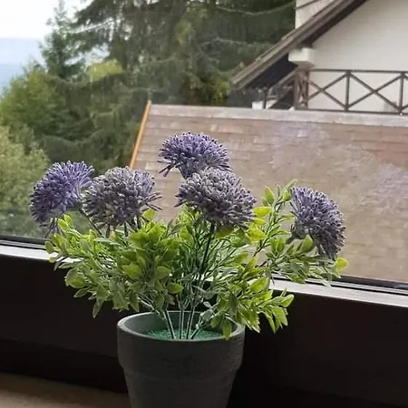 아파트 Irina - Milos 카파오닉