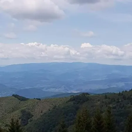 Irina - Milos 카파오닉