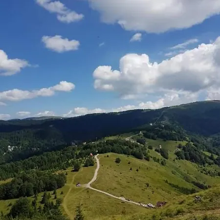 Irina - Milos 카파오닉