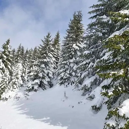 Irina - Milos 카파오닉