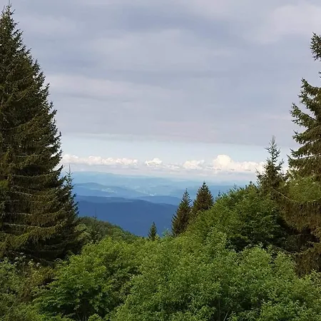 Irina - Milos 아파트 카파오닉