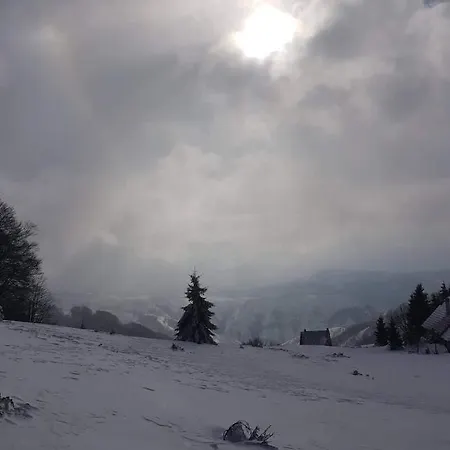 Irina - Milos * 카파오닉